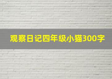 观察日记四年级小猫300字