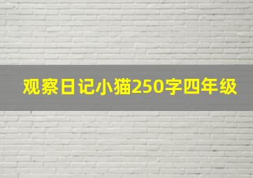 观察日记小猫250字四年级