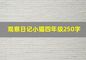 观察日记小猫四年级250字