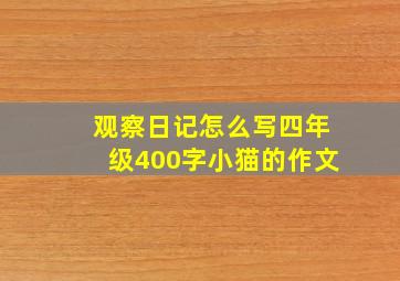 观察日记怎么写四年级400字小猫的作文