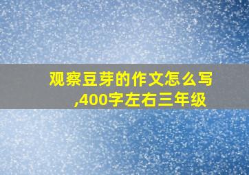 观察豆芽的作文怎么写,400字左右三年级