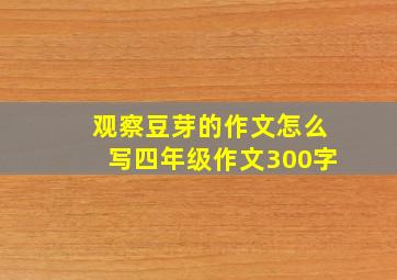 观察豆芽的作文怎么写四年级作文300字