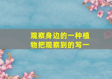 观察身边的一种植物把观察到的写一