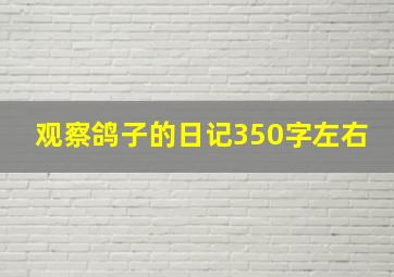 观察鸽子的日记350字左右