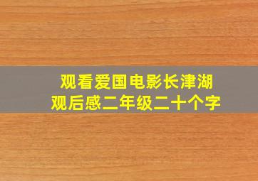 观看爱国电影长津湖观后感二年级二十个字