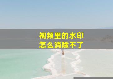 视频里的水印怎么消除不了