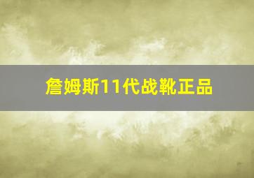 詹姆斯11代战靴正品