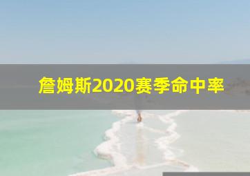 詹姆斯2020赛季命中率