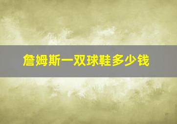 詹姆斯一双球鞋多少钱