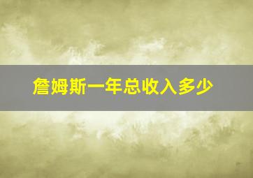 詹姆斯一年总收入多少