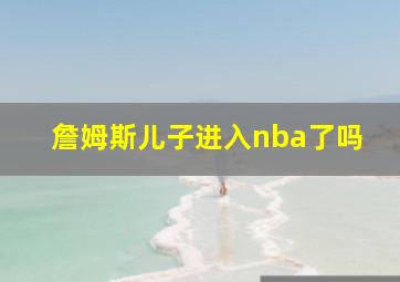 詹姆斯儿子进入nba了吗