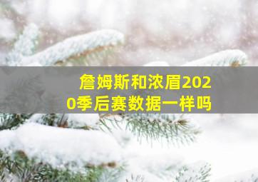 詹姆斯和浓眉2020季后赛数据一样吗