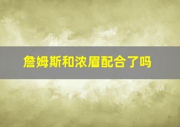 詹姆斯和浓眉配合了吗