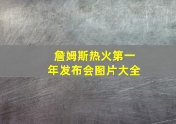 詹姆斯热火第一年发布会图片大全