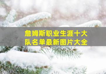 詹姆斯职业生涯十大队名单最新图片大全