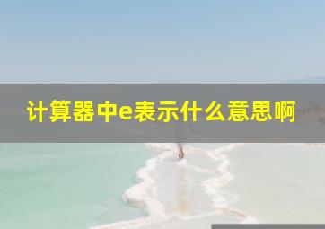 计算器中e表示什么意思啊