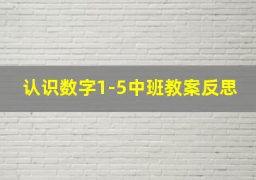 认识数字1-5中班教案反思