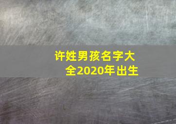 许姓男孩名字大全2020年出生