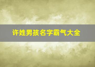 许姓男孩名字霸气大全