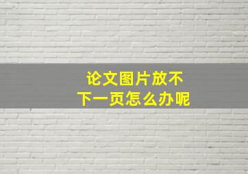 论文图片放不下一页怎么办呢