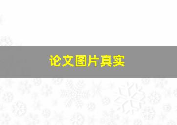 论文图片真实