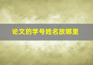 论文的学号姓名放哪里