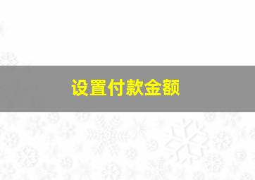 设置付款金额