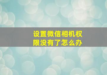 设置微信相机权限没有了怎么办