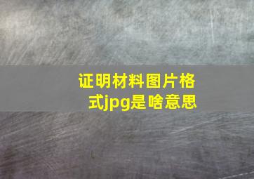 证明材料图片格式jpg是啥意思