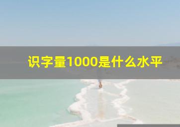 识字量1000是什么水平