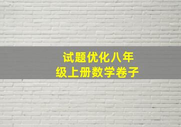 试题优化八年级上册数学卷子