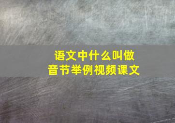 语文中什么叫做音节举例视频课文