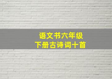 语文书六年级下册古诗词十首