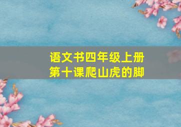 语文书四年级上册第十课爬山虎的脚