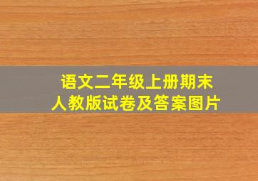 语文二年级上册期末人教版试卷及答案图片