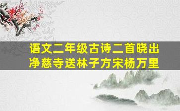 语文二年级古诗二首晓出净慈寺送林子方宋杨万里