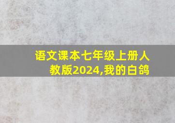 语文课本七年级上册人教版2024,我的白鸽