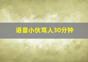 语音小伙骂人30分钟