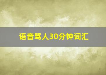 语音骂人30分钟词汇