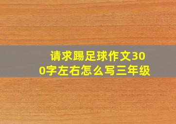 请求踢足球作文300字左右怎么写三年级