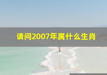 请问2007年属什么生肖