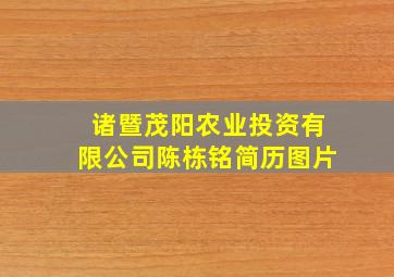 诸暨茂阳农业投资有限公司陈栋铭简历图片