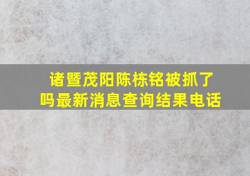 诸暨茂阳陈栋铭被抓了吗最新消息查询结果电话