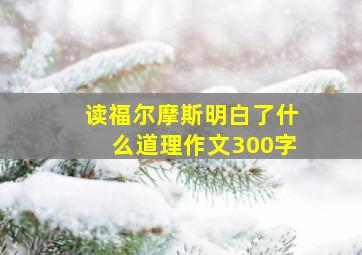 读福尔摩斯明白了什么道理作文300字