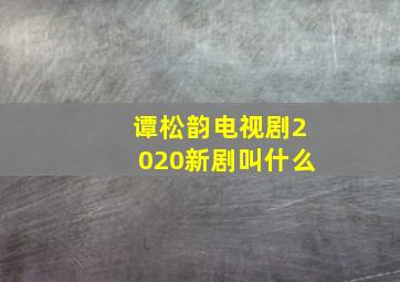 谭松韵电视剧2020新剧叫什么