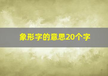 象形字的意思20个字