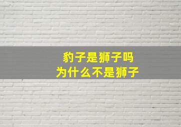 豹子是狮子吗为什么不是狮子