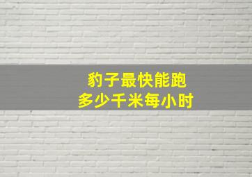 豹子最快能跑多少千米每小时