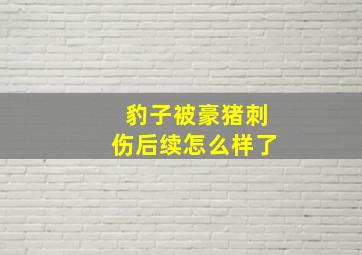 豹子被豪猪刺伤后续怎么样了