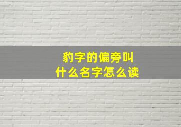 豹字的偏旁叫什么名字怎么读